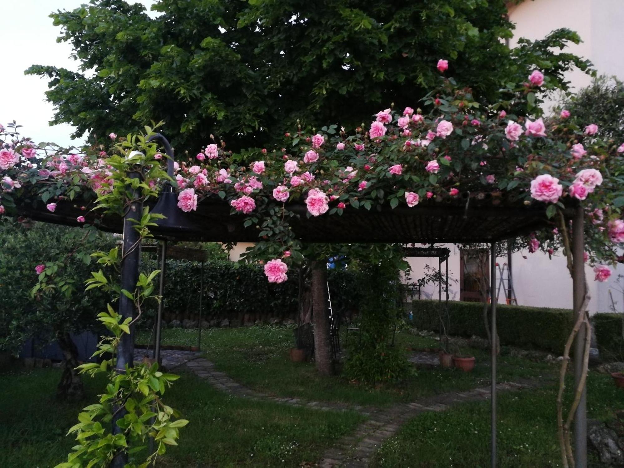 Happy Family B&B Viggianello Exterior photo